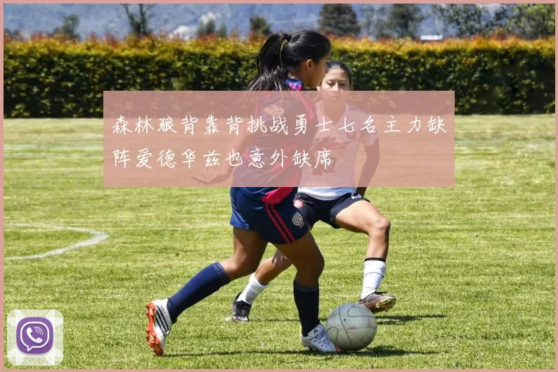 森林狼背靠背挑战勇士七名主力缺阵爱德华兹也意外缺席